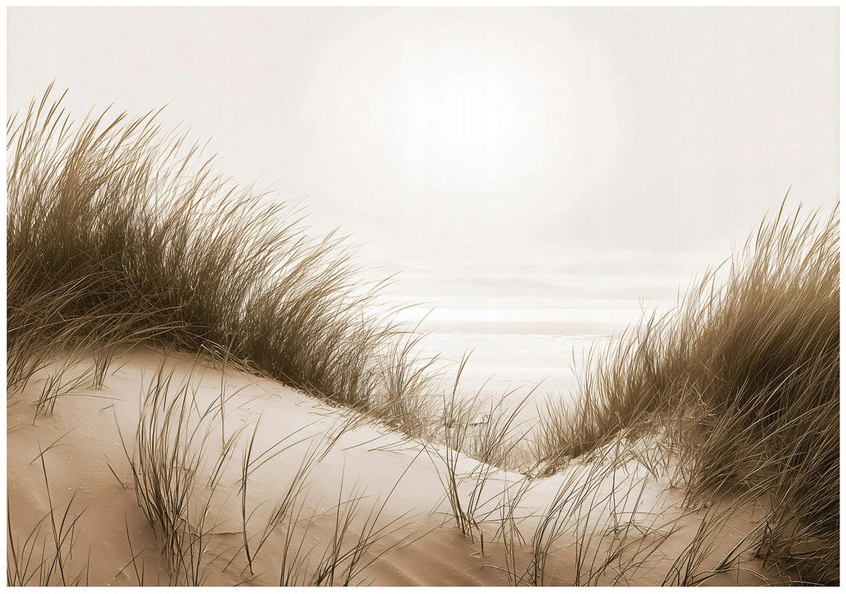 FOTOTAPETE Strand Meer Beige 250x175 cm - Multicolor, Papier (250/175cm) - Wallarena
