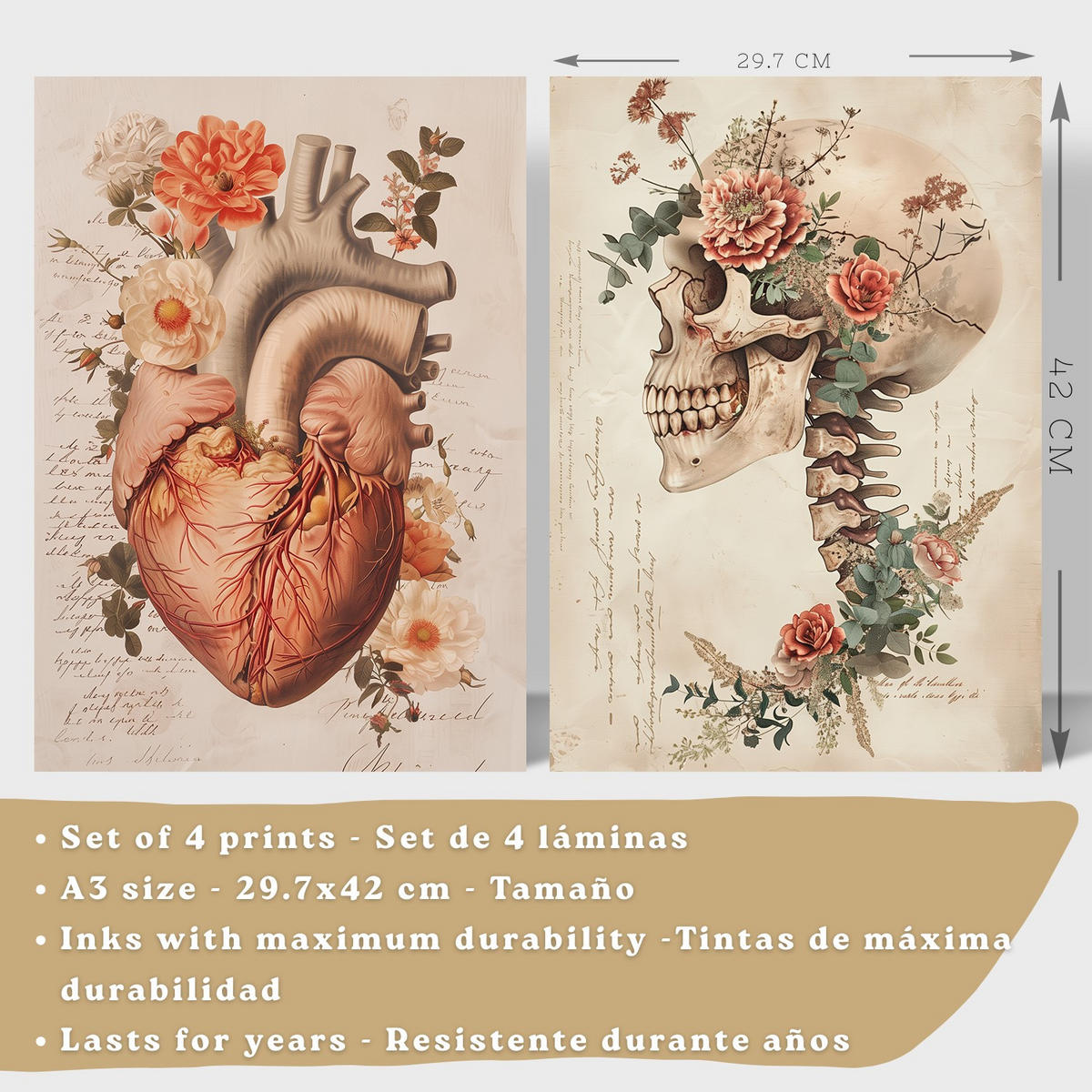 POSTER Set aus 4 Vintage Anatomie Drucke und Wandbilder mit Blumen Herz Lungen Schädel und Gehirn Medizinische Wanddekoration Größe Weißer Rahmen A3 - Weiß, Papier (29.7/42/3cm) - Nacnic