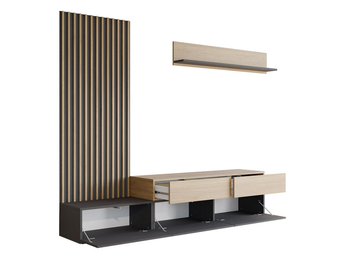 WOHNWAND Narezi I - Eichefarben/Schwarz, Holzwerkstoff/Kunststoff (225/209/40cm) - MIRJAN24