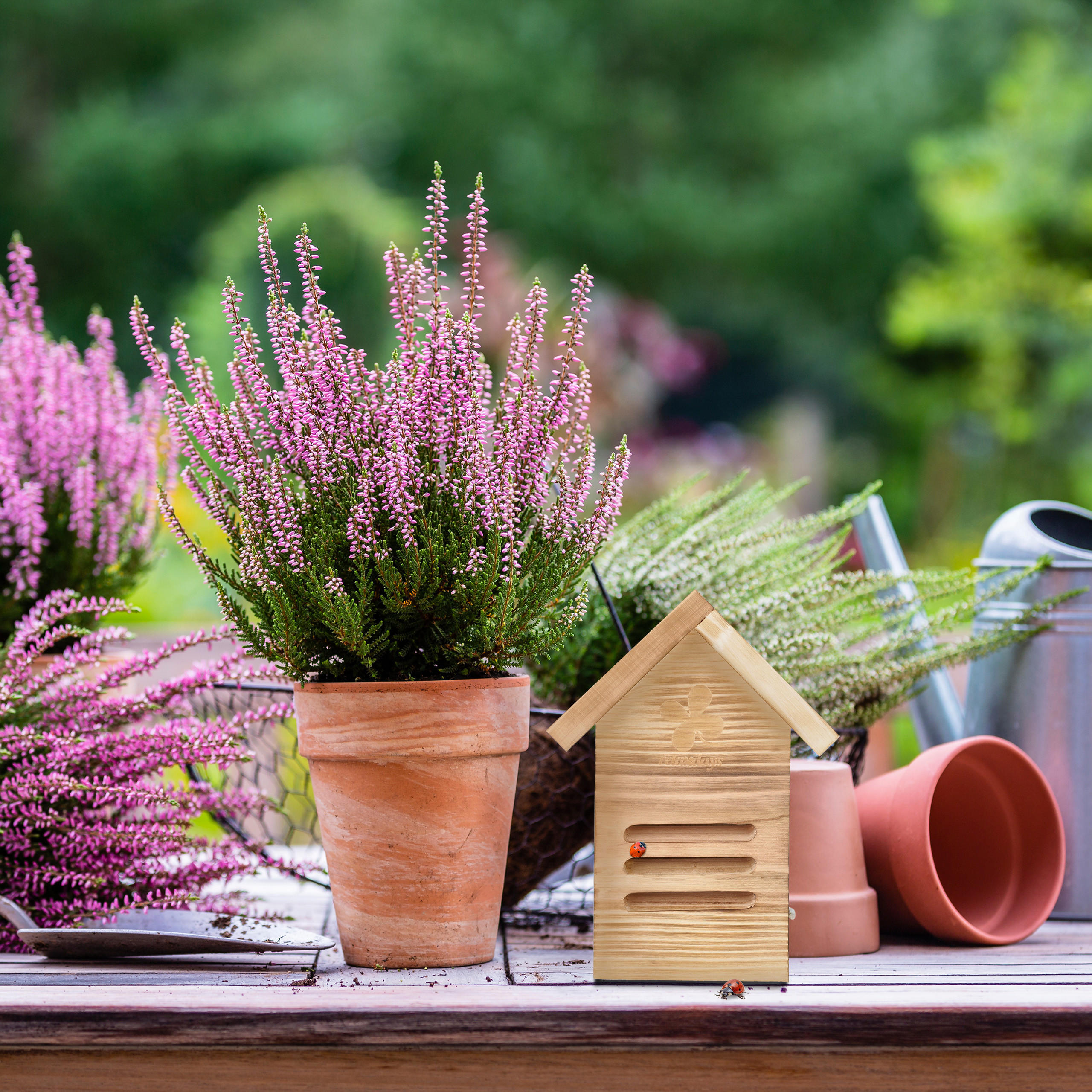 MARIENKÄFERHAUS - Multicolor, Holz (17/23/12cm) - Relaxdays