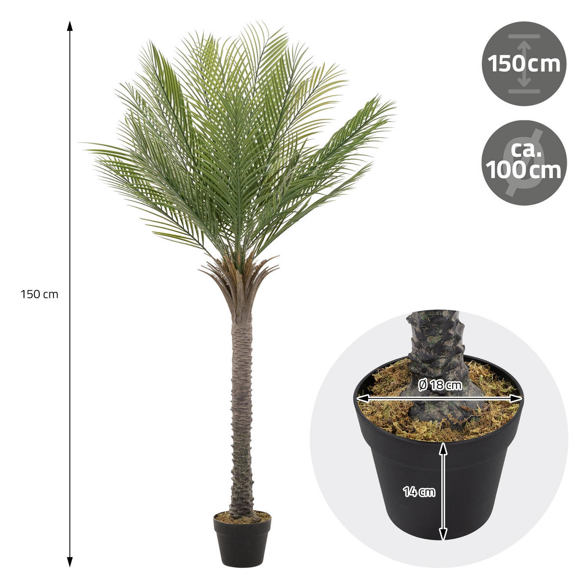 KUNSTPFLANZE Palme - Anthrazit/Grün, Holz/Kunststoff (150cm) - ML-DESIGN