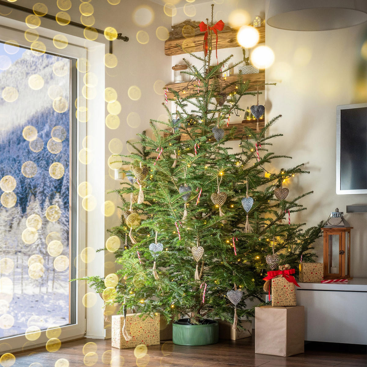 KADAX Großer Weihnachtsbaumständer, Weihnachtsbaumständer, 2,5 m - Grün, Kunststoff (25.4cm) - KADAX