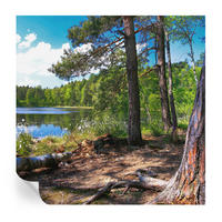 FOTOTAPETE 250x250 cm - Waldlandschaft - Grün, Textil (250/250cm) - Wallfluent