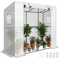 MINI-GEWÄCHSHAUS, Netzfenster, Rolltür, UV-beständig, für Setzlinge, Weiß - Multicolor, Kunststoff (200/170/76cm) - FORIOUS