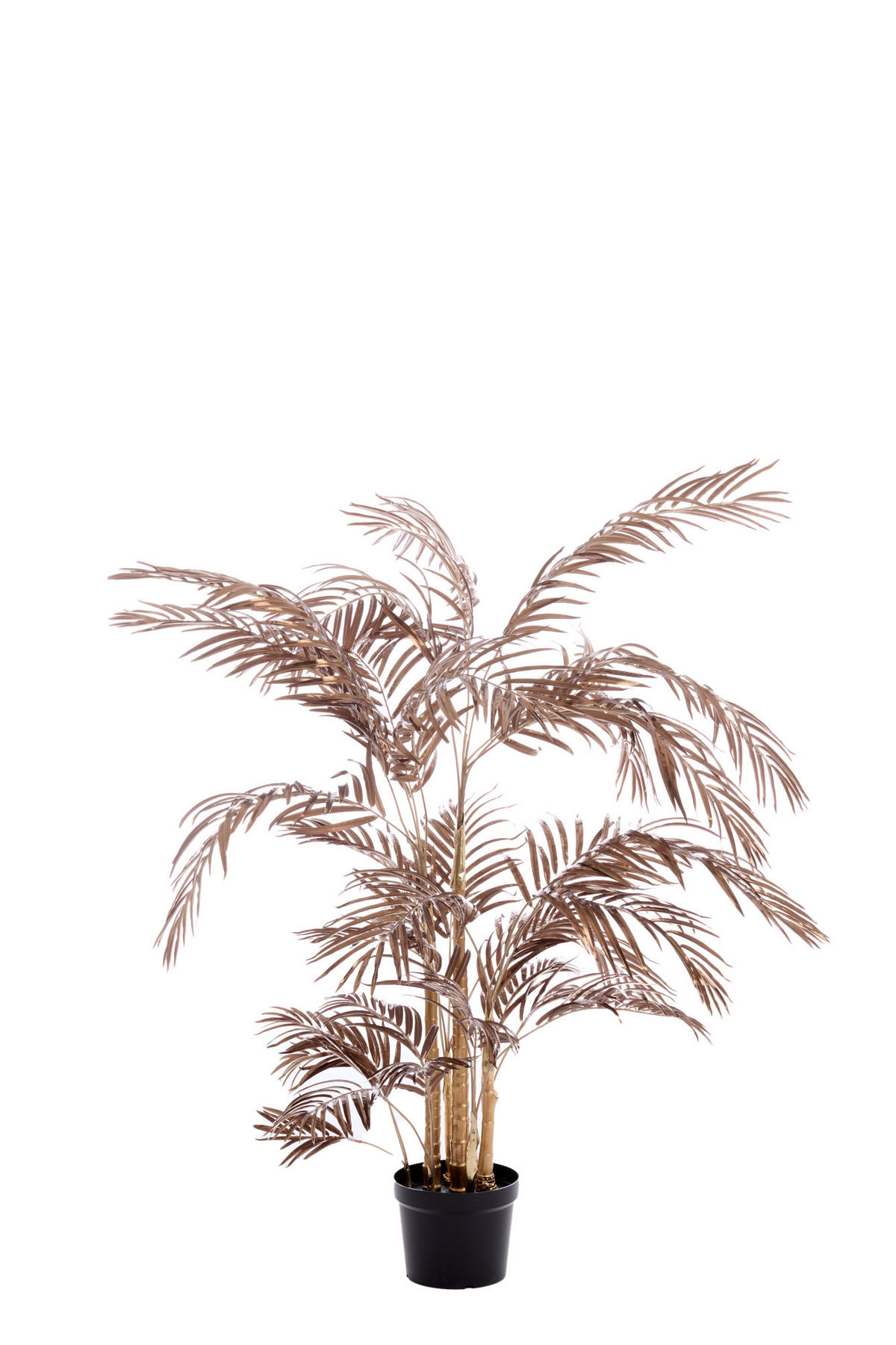 TOPF Palme Bronze 145/135/135 cm - Bronzefarben, Kunststoff (135cm) - Light & Living