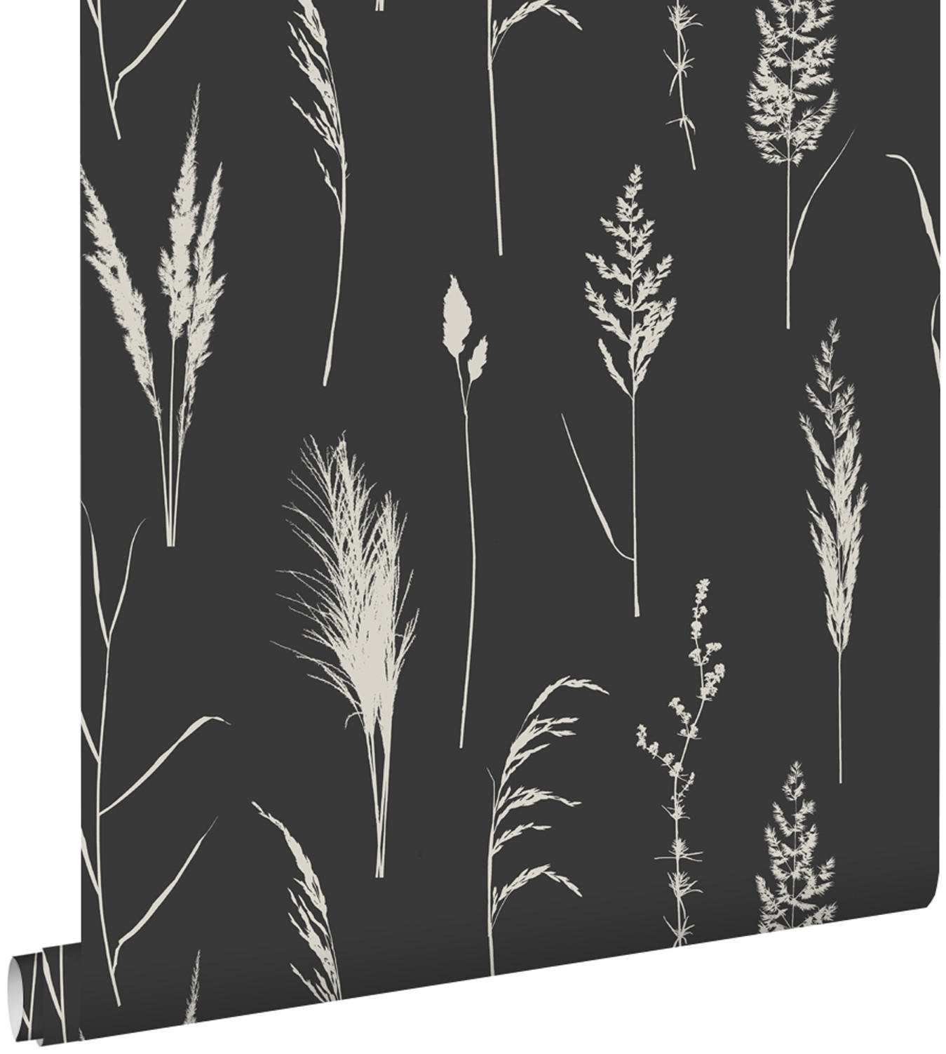 TAPETE Pampasgras 50 x 900 cm - Schwarz, Papier (50/900cm) - ESTAhome