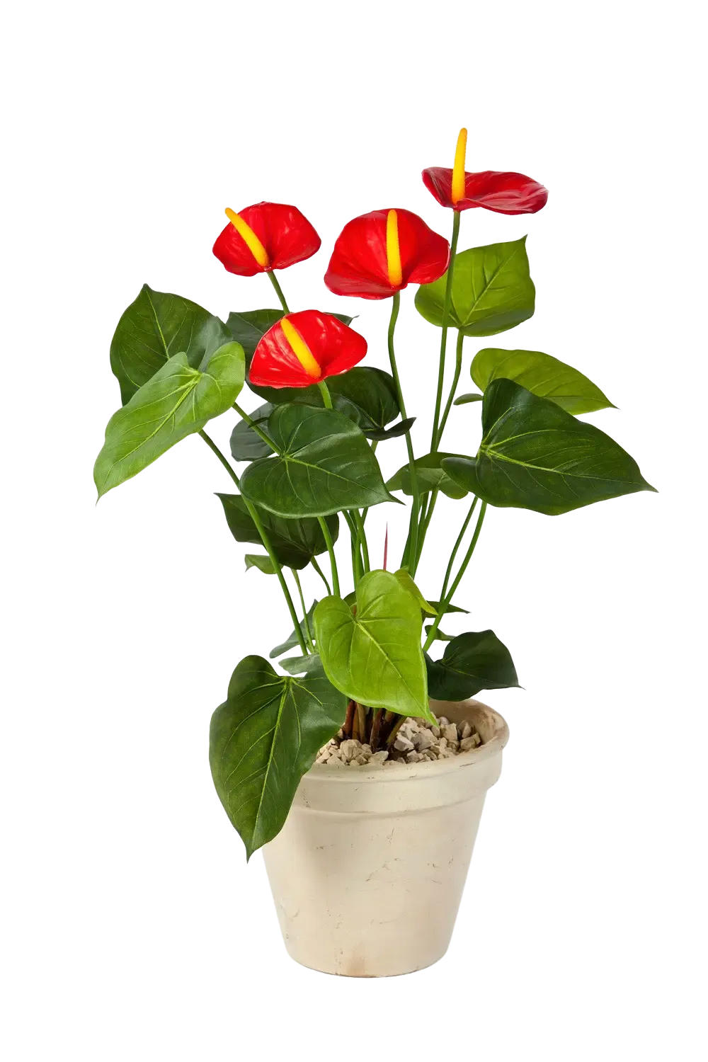 KUNSTPFLANZE Künstliche Flamingoblume - Steckpflanze - Nara 56 cm - Rot, Kunststoff (56cm) - aplanta