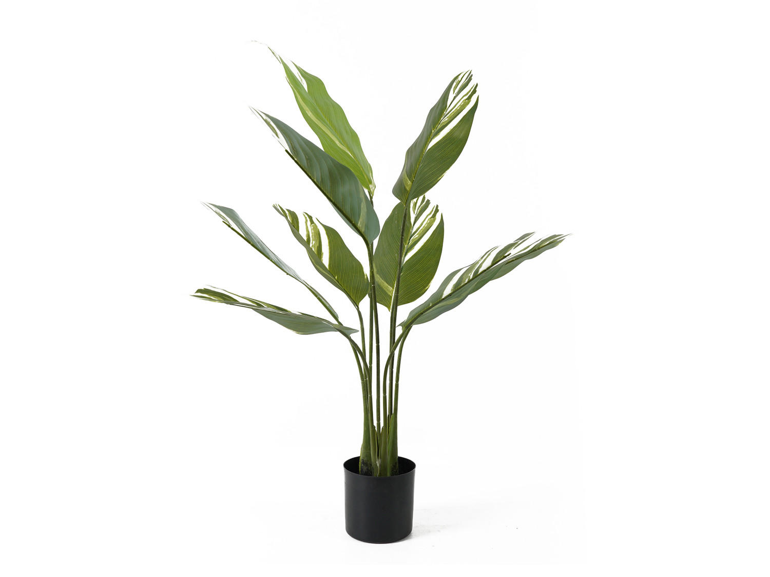 DEKOPFLANZE Calathea 63/63/90 cm - Grün, Kunststoff (90cm) - Present Time