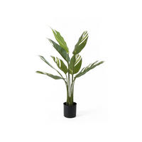 DEKOPFLANZE Calathea 63/63/90 cm - Grün, Kunststoff (90cm) - Present Time