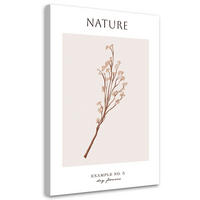 WANDBILD trockene blume natur - Beige, Textil (40/60cm) - Feeby