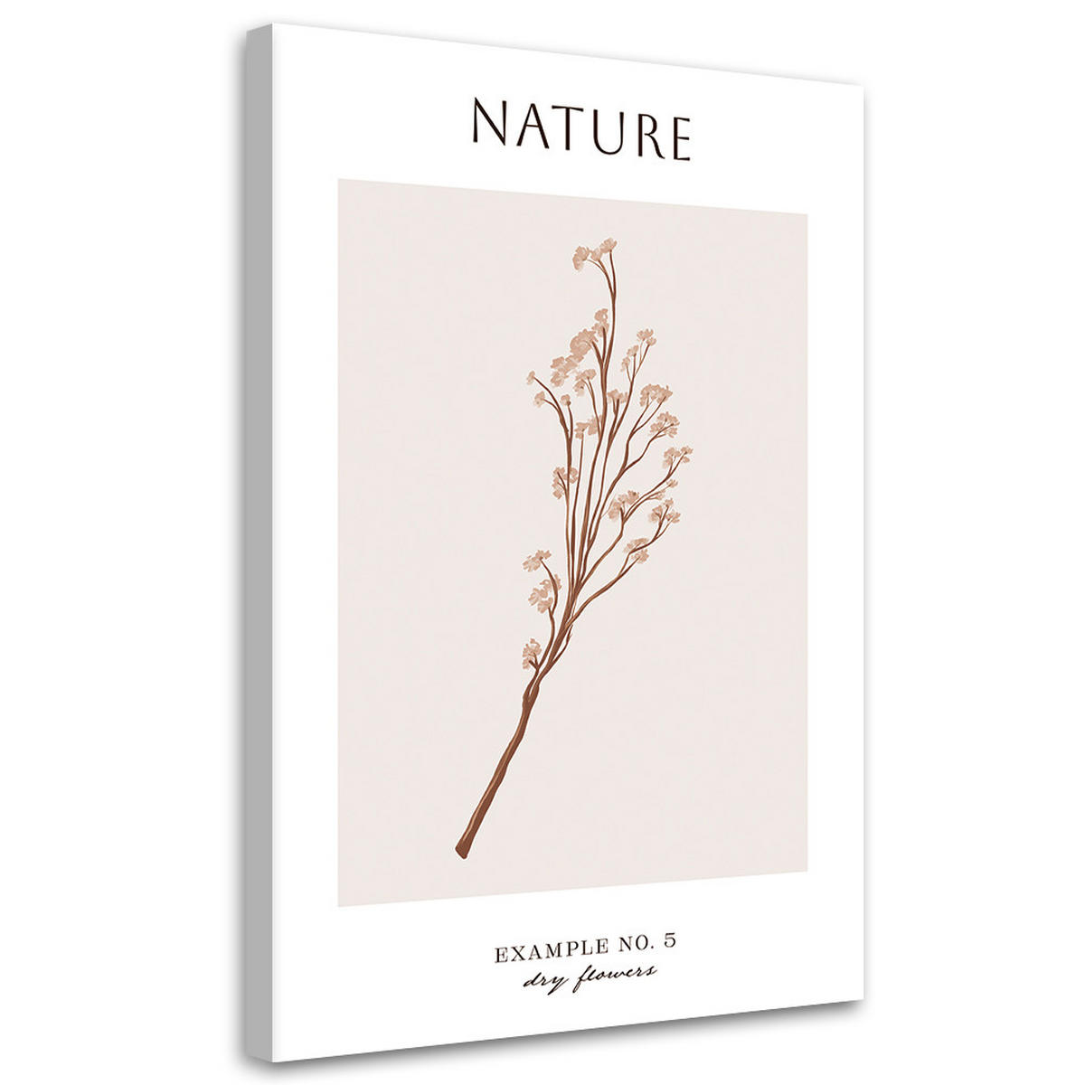 WANDBILD trockene blume natur - Beige, Textil (40/60cm) - Feeby