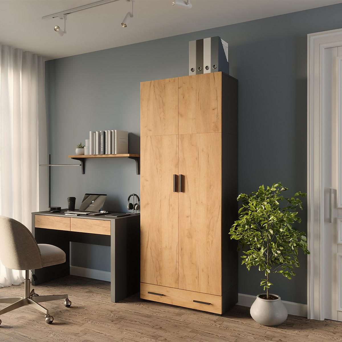 REGÁL NA DOKUMENTY Frank Antracit/zlatý dub - antracitová, kompozitní dřevo (80/201.2/37cm) - Vicco