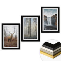 WANDBILDER 3er-Set - 20x30 cm Schwarzer Rahmen - Waldlandschaften, wilde Natur - Schwarz, Kunststoff (20/30cm) - ArtPrintCave