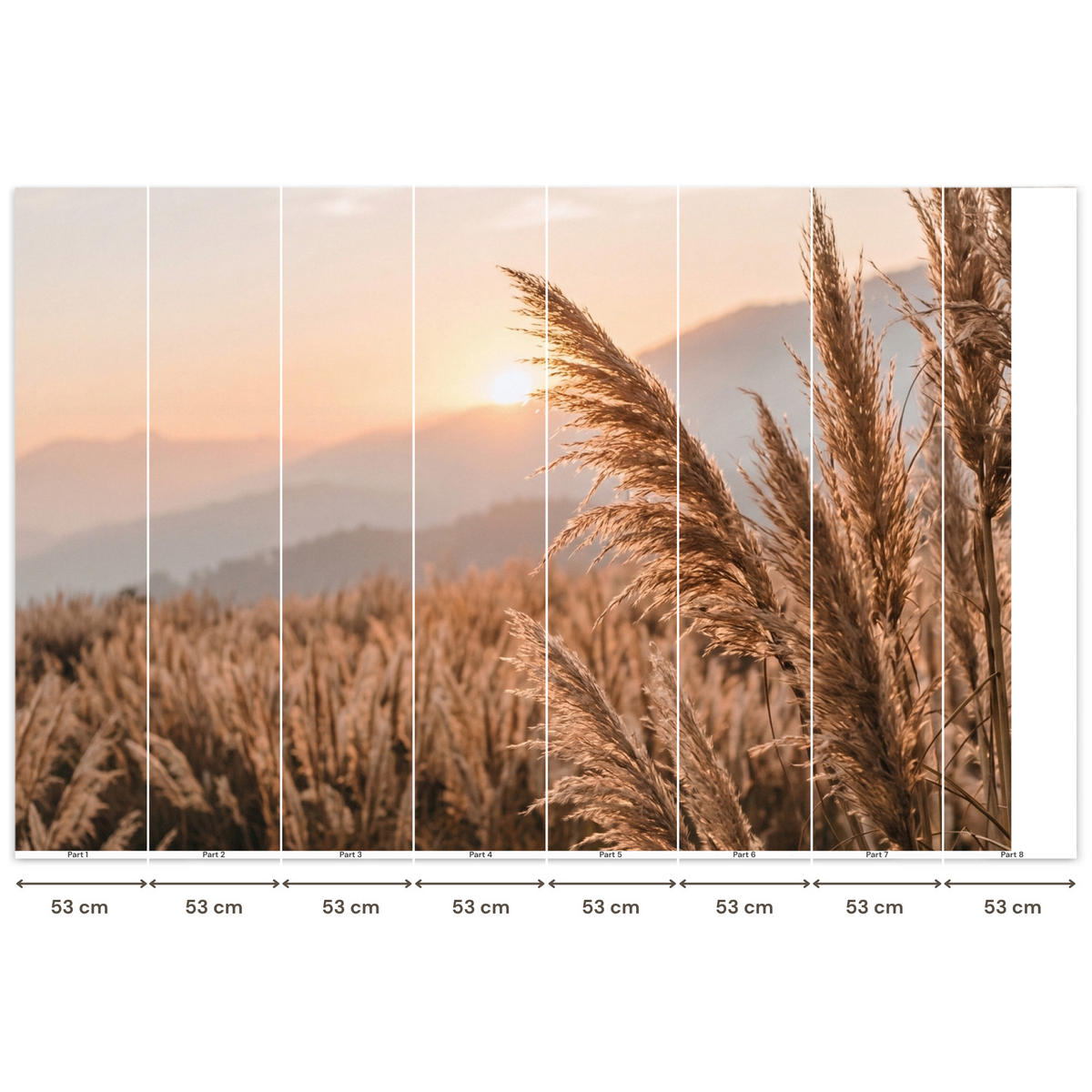 TAPETE - Gras - Feld - Sonne - Natur - 400x260 cm - Sandfarben, Papier (400/260cm) - OnlyWow