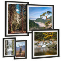 BILDER SET 5er Set - 50x50 cm & 20x30 cm & 40x60 cm Schwarzer Rahmen - Wasserfall Wald Berge Hirsch Natur - Schwarz, Kunststoff (40/60cm) - TULUP
