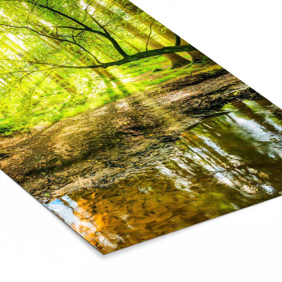 GERAHMTES BILD Wald - Landschaft - Wasser - Bäume - Sonne - Grün - Natur 20x30 cm - Grün, Papier (20/30cm) - MuchoWow