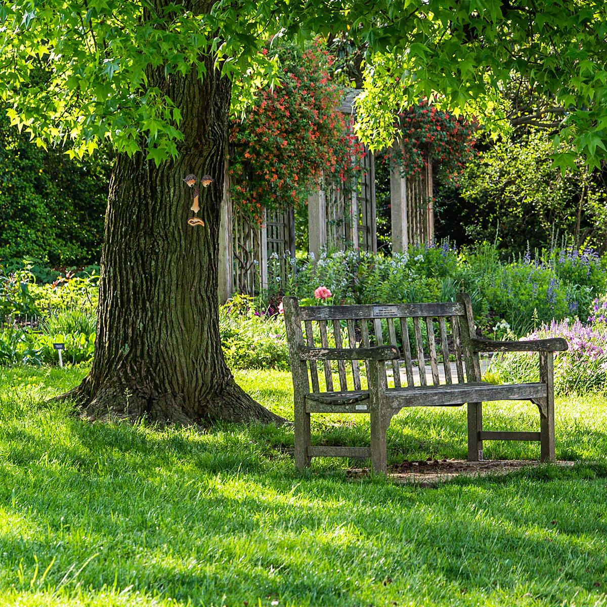 BAUMGESICHT - Multicolor, Kunststoff (11/4.5/2.5cm) - Relaxdays