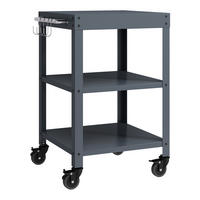 ZAHRADNÍ SERVÍROVACÍ VOZÍK Bolognano - tmavě šedá, kov (50/80.5/50cm) - casa.pro