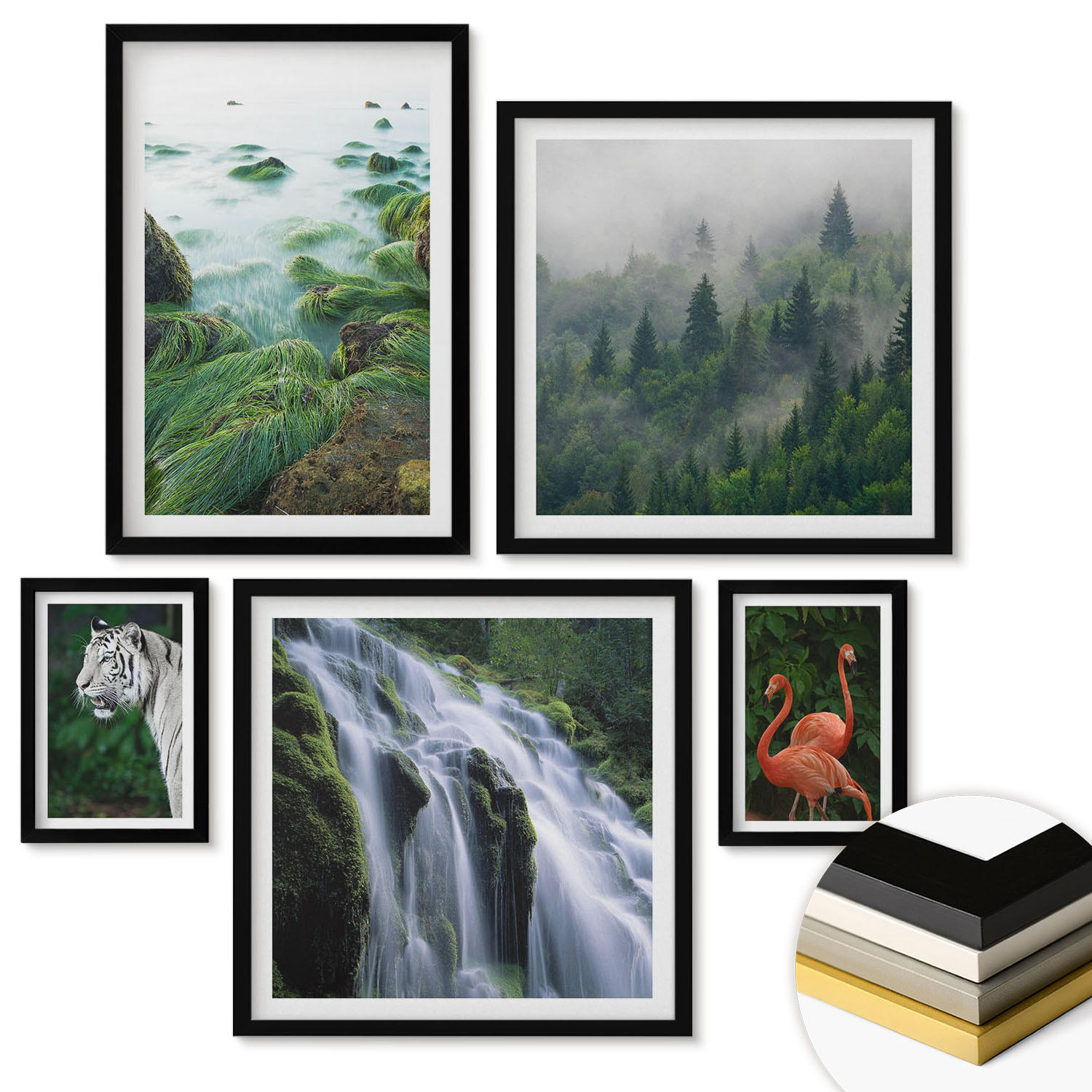 WANDBILDER 5er-Set - 50x50 cm & 20x30 cm & 40x60 cm Schwarzer Rahmen - Tiger Wasserfall Flamingos Natur - Schwarz, Kunststoff (40/60cm) - ArtPrintCave