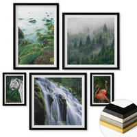 WANDBILDER 5er-Set - 50x50 cm & 20x30 cm & 40x60 cm Schwarzer Rahmen - Tiger Wasserfall Flamingos Natur - Schwarz, Kunststoff (40/60cm) - ArtPrintCave
