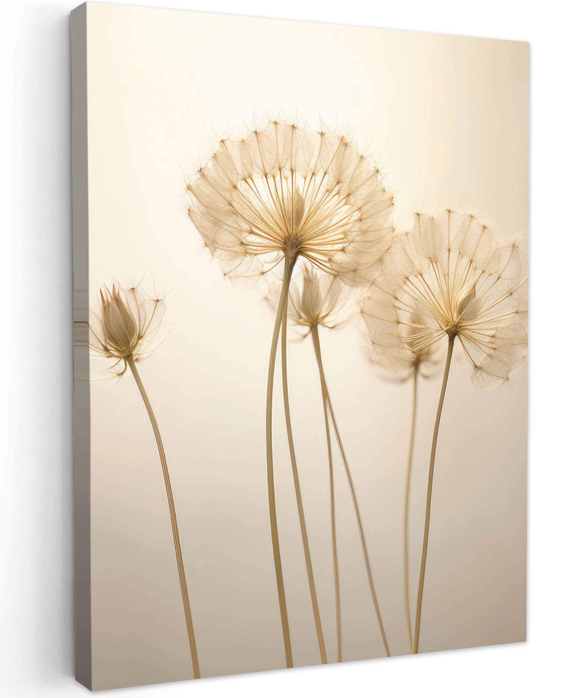 LEINWANDBILD Sonnenlicht - Löwenzahn - Botanisch - Blumen 30x40 cm - Creme, Textil (30/40cm) - MuchoWow