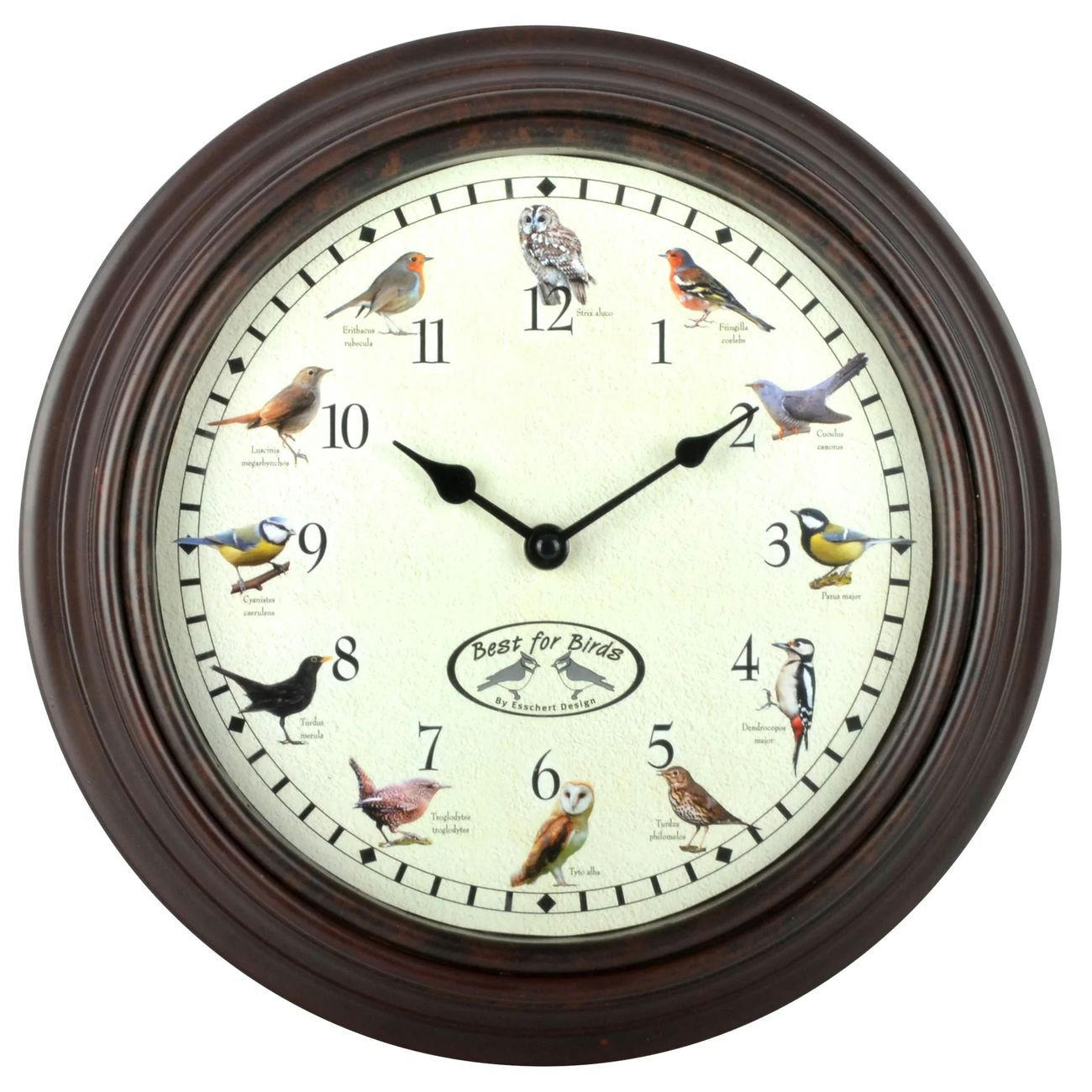 UHR mit Vogelgezwitscher - Dunkelbraun, Holz (29.8/29.8/4.5cm) - Westfalia