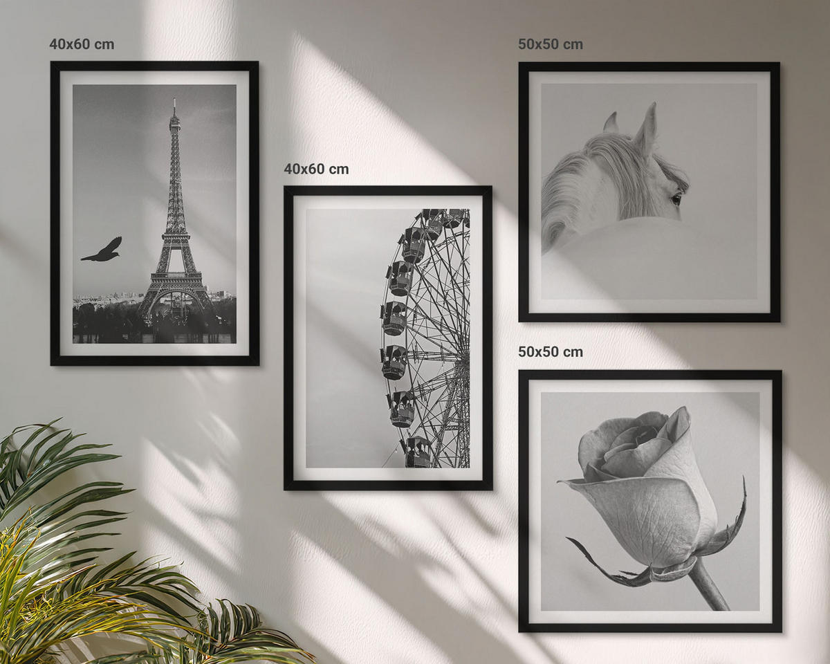 WANDBILDER 4er-Set - 50x50 cm & 40x60 cm Schwarzer Rahmen - Rose Eiffelturm Pferd Riesenrad S/W - Schwarz, Kunststoff (50/50cm) - ArtPrintCave
