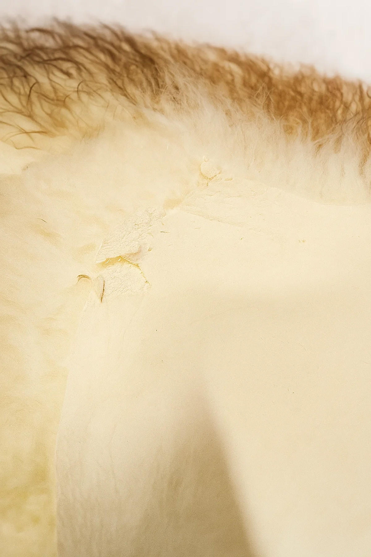 SCHAFFELL Geflammt Natur mit kleinen Mängeln ca. 110 cm - Braun, Fell (60/110cm) - Provellus