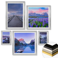 WANDBILDER 5er Set - 50x50 cm & 20x30 cm & 40x60 cm Silberner Rahmen - Berglandschaften, Wasser, Blumenfeld - Silberfarben, Kunststoff (40/60cm) - ArtPrintCave