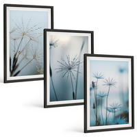 BILDER SET 3er Set - 40x60 cm Schwarzer Rahmen - Löwenzahn mit Wassertropfen - Schwarz, Kunststoff (40/60cm) - TULUP