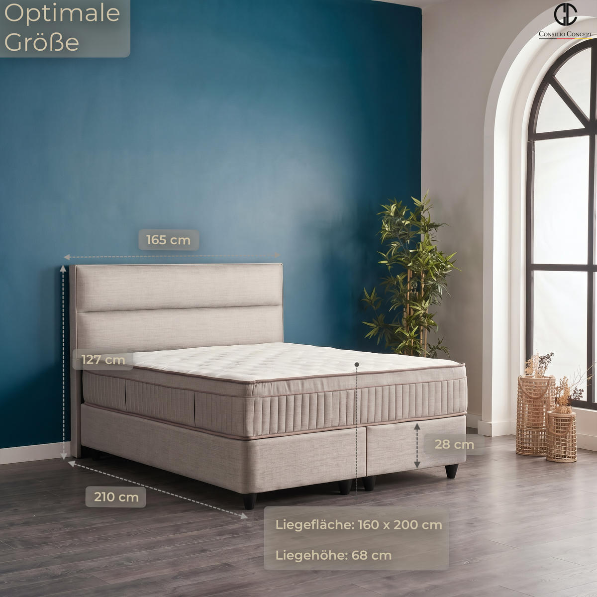BOXSPRINGBETT MIT BETTKASTEN SEVILLA 160/200 cm, Grau, Bettkasten, Matratze, Topper integriert, H3 mittel 7-Zonen Matratze - Schwarz/Grau, Holz/Kunststoff (160/200cm) - Consilio Concept
