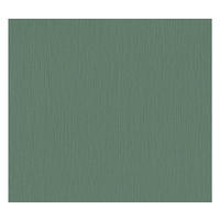 VLIESTAPETE Grün 53/1005 cm - Grün, Textil (53/1cm) - KUNSTLOFT