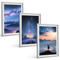 BILDER SET 3er Set - 40x60 cm Silberner Rahmen - Nachthimmel Berge Nebel Hirsch - Silberfarben, Kunststoff (40/60cm) - TULUP