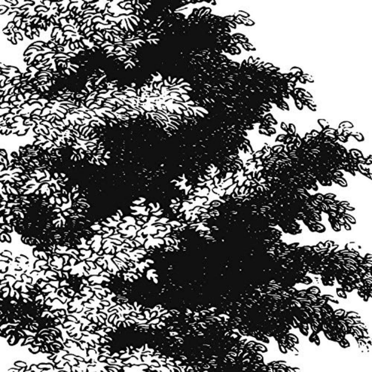 POSTER Set mit 4 Blättern der dünne Kruste weiß 20x20cm Rahmenlos - Klar, Papier (20/3cm) - Nacnic