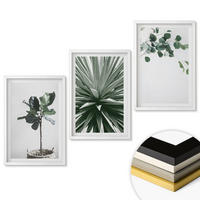 WANDBILDER 3er-Set - 40x60 cm Weißer Rahmen - Minimalismus mit grünen Pflanzen - Weiß, Kunststoff (40/60cm) - ArtPrintCave