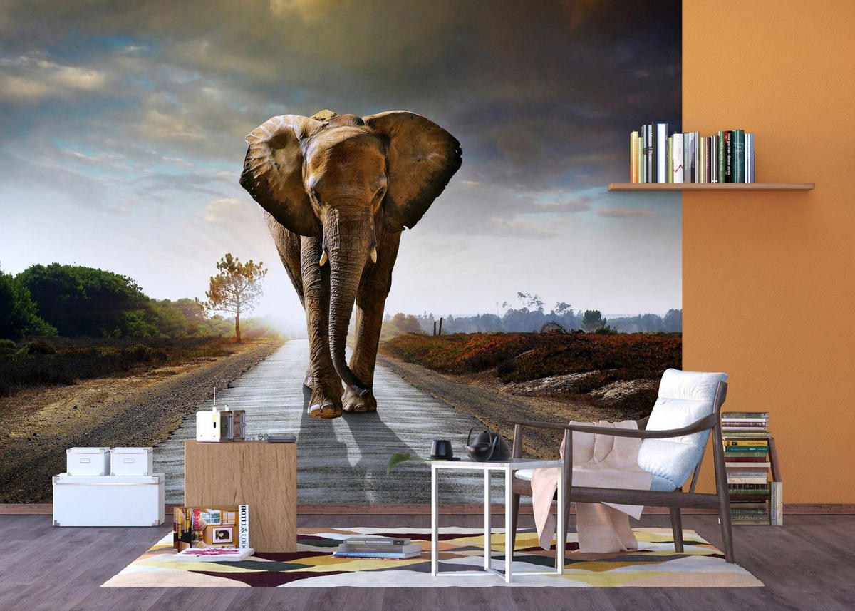 FOTOTAPETE Elefant 375 x 270 cm - Beige, Papier (375/270cm) - Sanders & Sanders