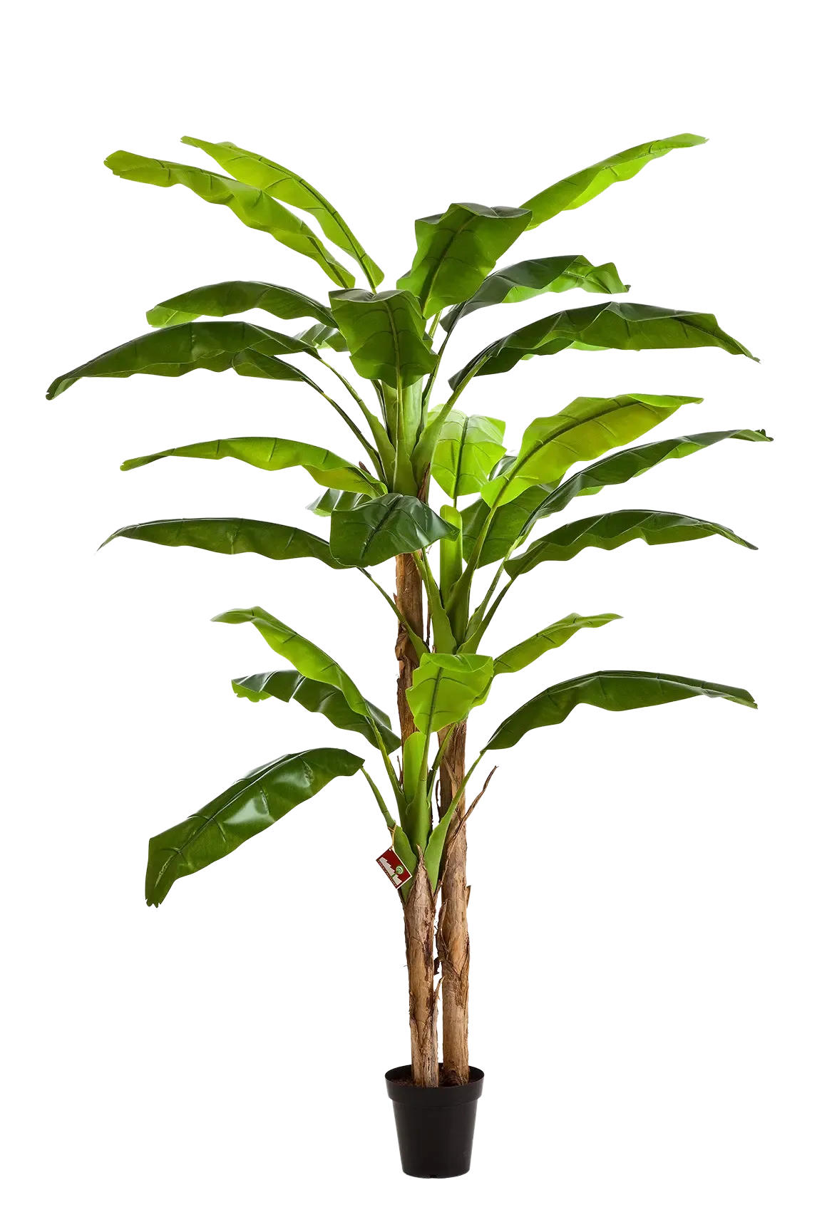 KUNSTBAUM Künstlicher Bananenbaum - Pauline 240 cm - Grün, Kunststoff (240cm) - aplanta