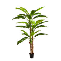 KUNSTBAUM Künstlicher Bananenbaum - Pauline 240 cm - Grün, Kunststoff (240cm) - aplanta