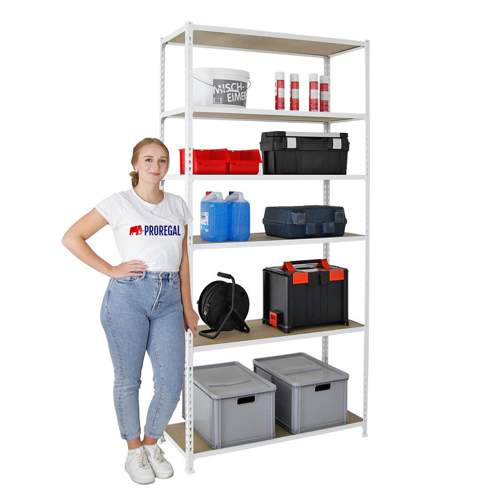 SCHWERLASTREGAL Giant Muli HxBxT 250 x 100 x 50 cm 6 Fachböden Fachlast 150 kg Weiß - Weiß, Metall (100/250/50cm) - PROREGAL