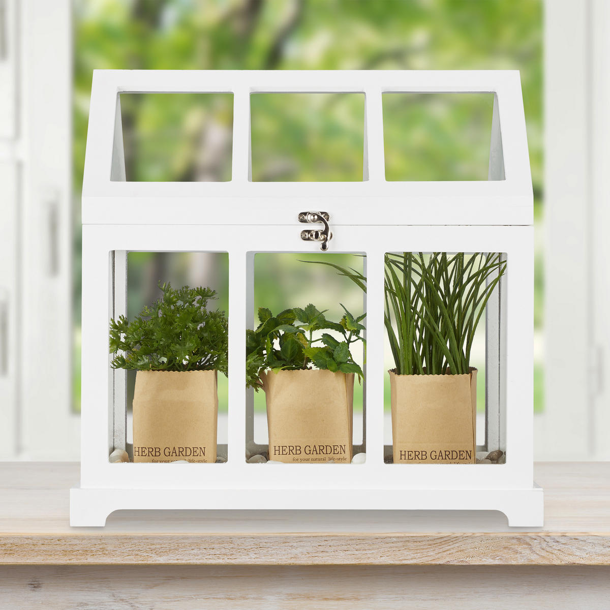 MINIGEWÄCHSHAUS - Multicolor, Glas/Holzwerkstoff (37.5/37/24cm) - Relaxdays
