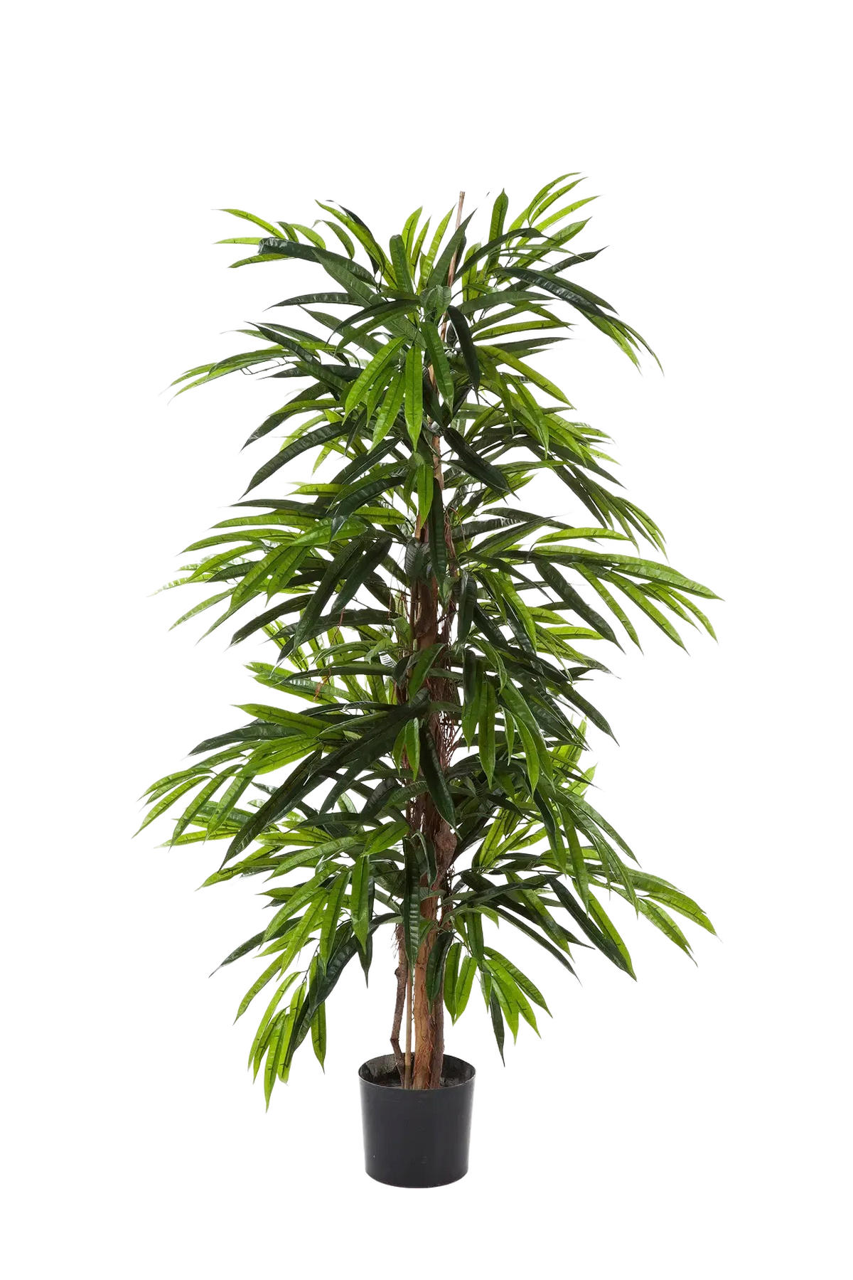 KUNSTBAUM Künstliche Longifolia - Maurice 210 cm - Grün, Kunststoff (210cm) - aplanta