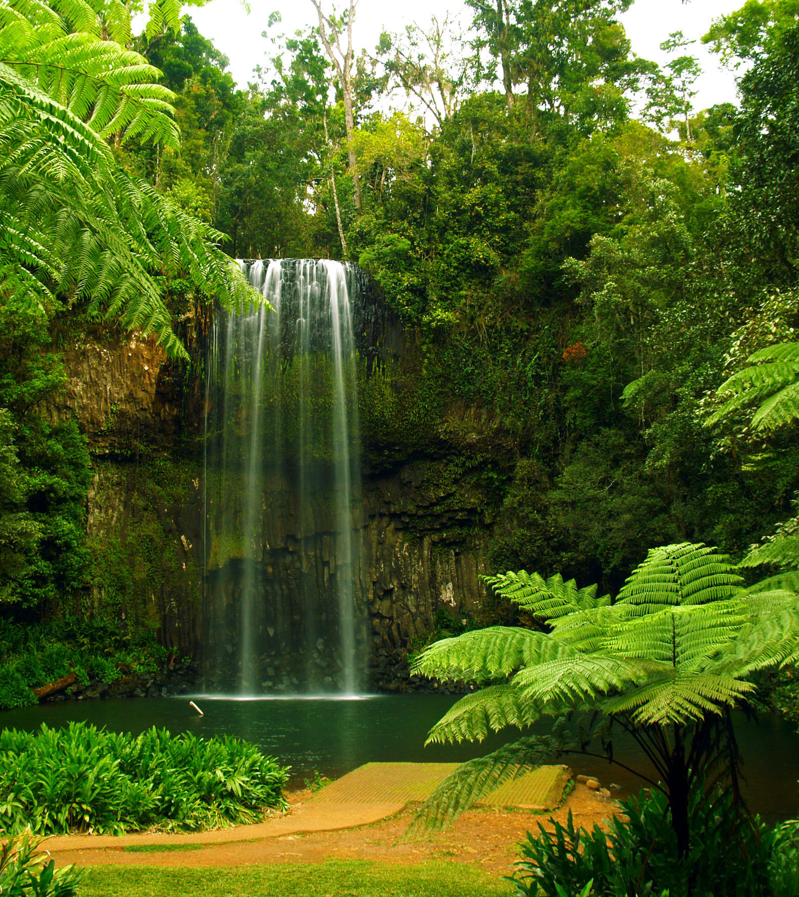 FOTOTAPETE Wasserfall 180 x 202 cm - Grün, Papier (180/202cm) - Sanders & Sanders