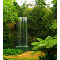FOTOTAPETE Wasserfall 180 x 202 cm - Grün, Papier (180/202cm) - Sanders & Sanders