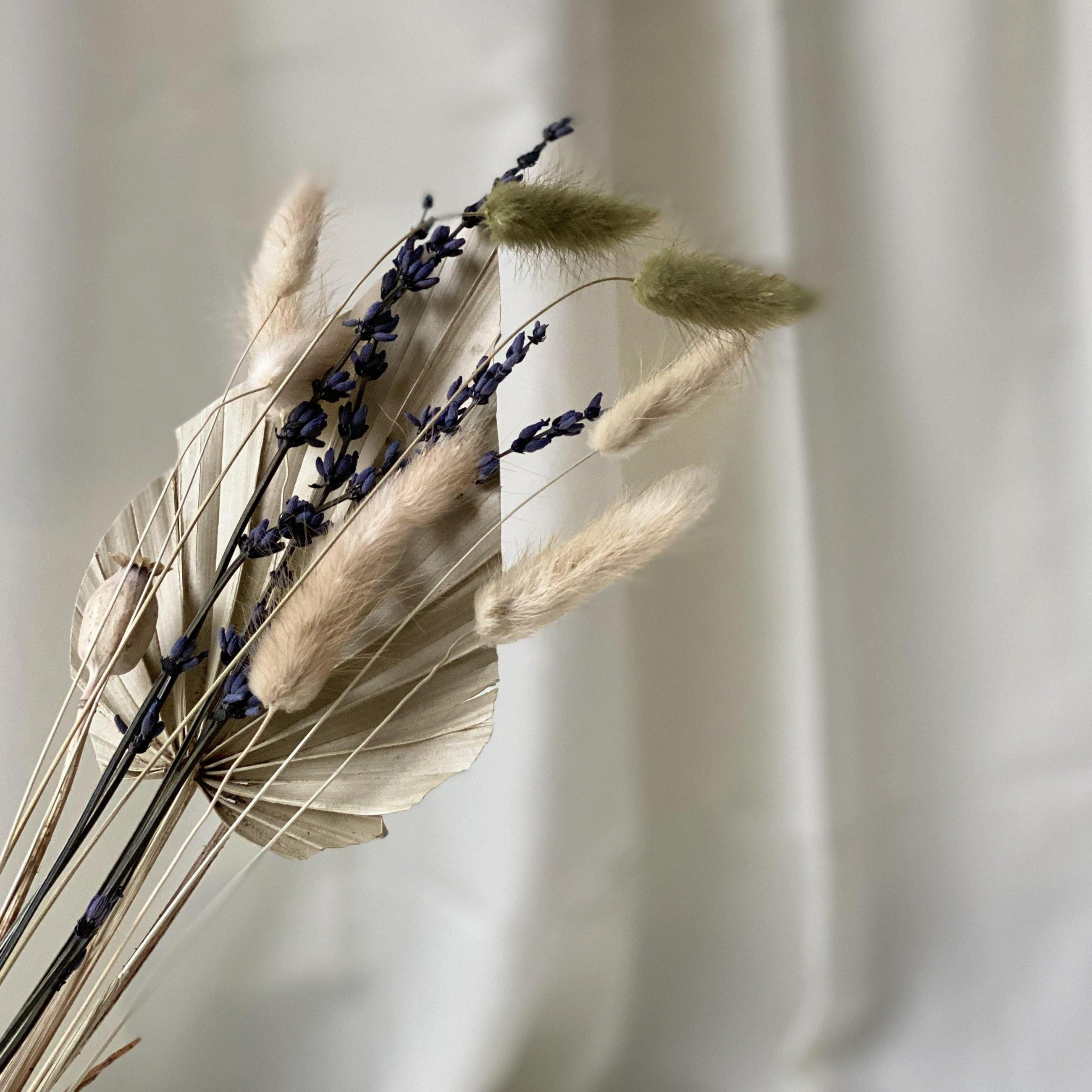 TROCKENBLUMENSTRAUSS Palmwedel - beige - Beige, Naturmaterialien (30cm) - Lykke & You