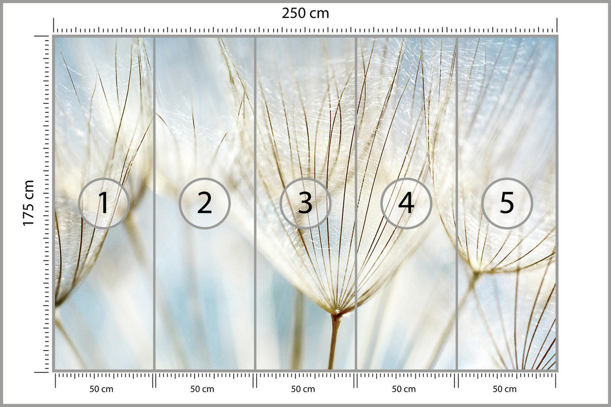 FOTOTAPETE für Wohnzimmer Löwenzahn Pflanzen Natur 250x175 - Blau/Beige, Papier (250/175cm) - Muralo