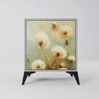 SIDEBOARD DREAMY MEADOW, Grau, 57,5x42x70,5 cm, Schwarze Metall-Sternfüße - Multicolor/Schwarz, Holzwerkstoff/Metall (57.5/70.5/42cm) - SpaceRebels