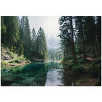 FOTOTAPETE Wald Bäume Grün 400x280 cm - Multicolor, Papier (400/280cm) - Wallarena