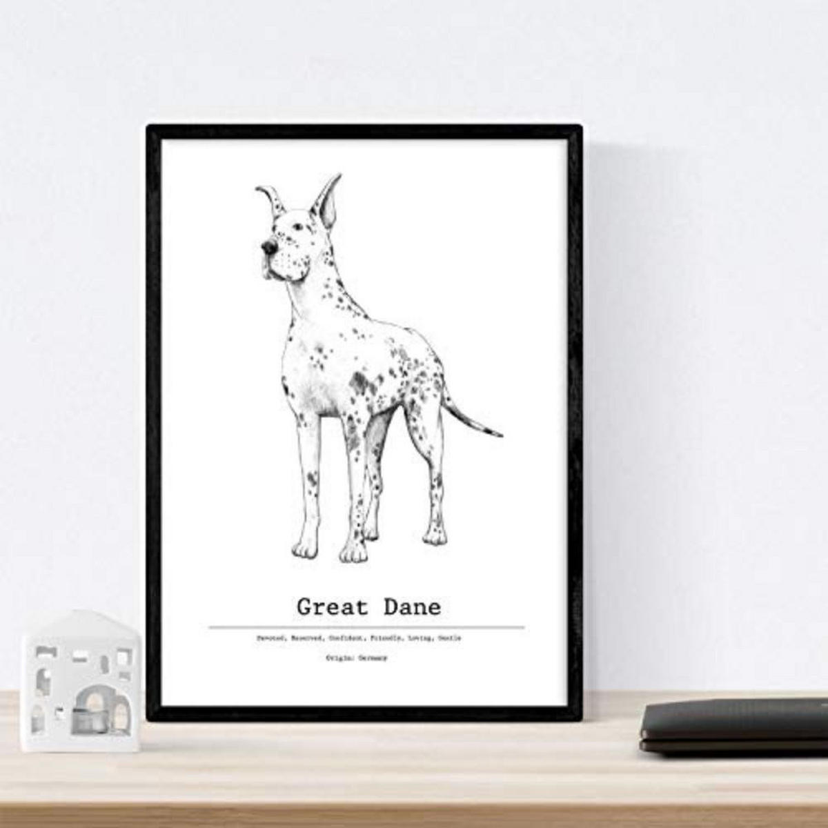 POSTER Set mit 4 Hunderasse A3 Rahmenlos - Klar, Papier (29.7/3cm) - Nacnic