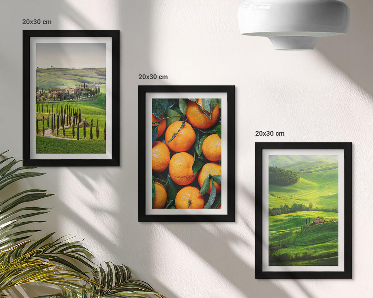 BILDER SET 3er Set - 20x30 cm Schwarzer Rahmen - Italienische Landschaft mit Orangen - Schwarz, Kunststoff (20/30cm) - TULUP
