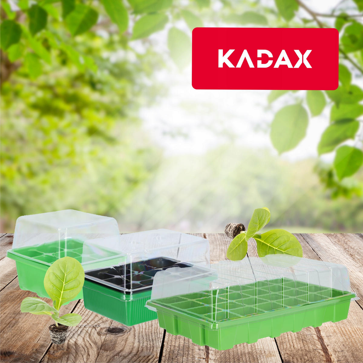 GEWÄCHSHAUS, 19 x 14 cm, Grün - Grün, Kunststoff - KADAX